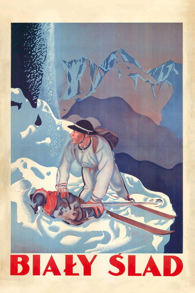 Póster de The White Trail