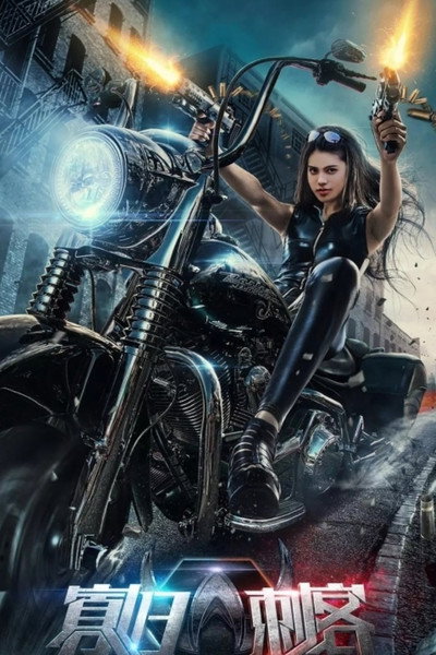 Póster de The Widows Assassin