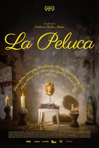 Póster de The Wig