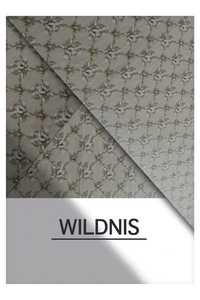 Póster de The Wild