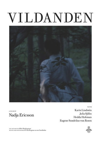 Póster de The Wild Duck
