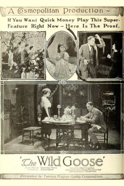 Póster de The Wild Goose