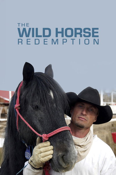 Póster de The Wild Horse Redemption