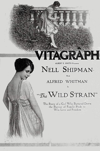 Póster de The Wild Strain