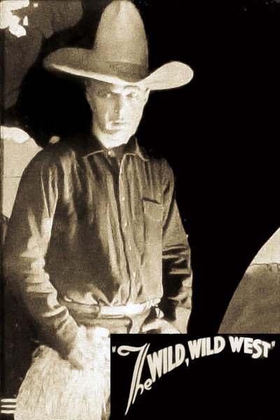 Póster de The Wild Wild West
