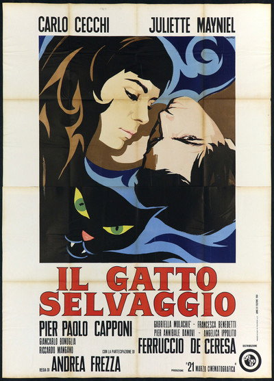 Póster de The Wildcat