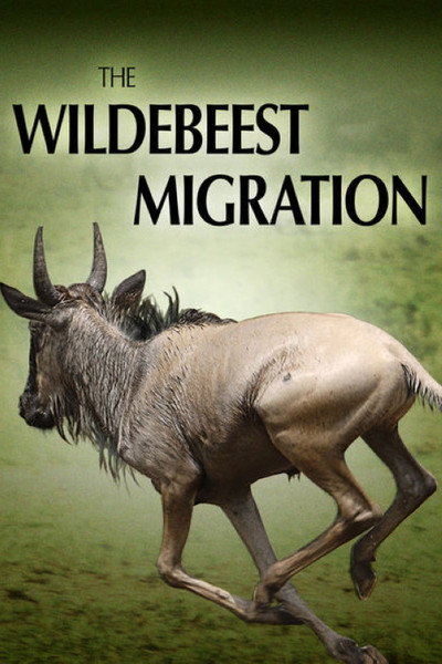 Póster de The Wildebeest Migration