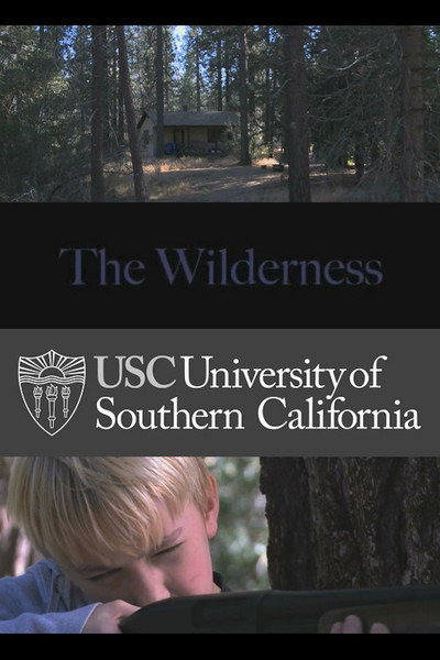 Póster de The Wilderness