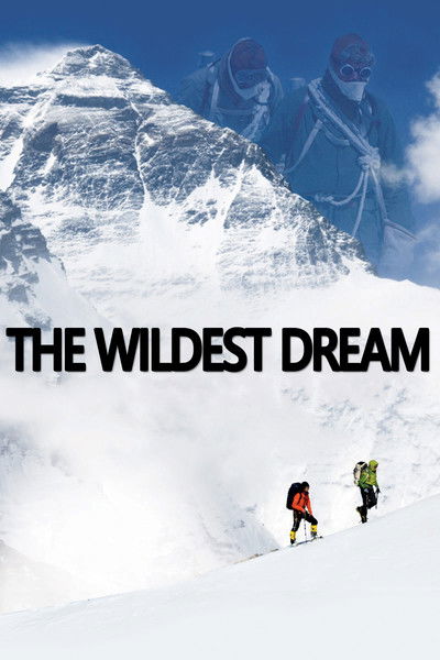 Póster de The Wildest Dream