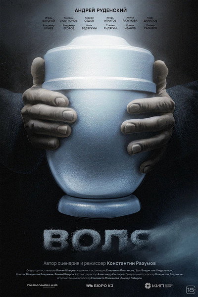 Póster de The Will