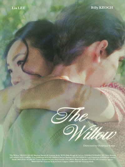 Póster de The Willow