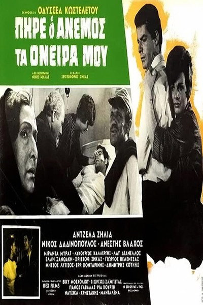 Póster de The Wind Took My Dreams