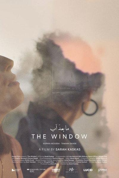 Póster de The Window