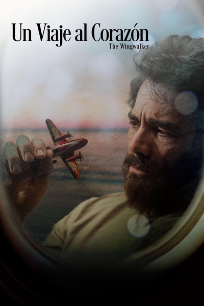 Póster de The Wingwalker