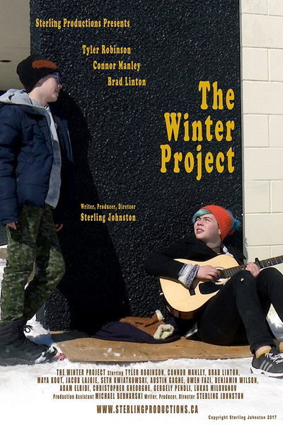 Póster de The Winter Project