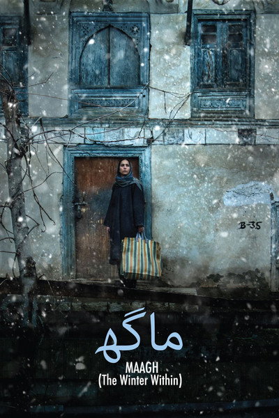 Póster de The Winter Within