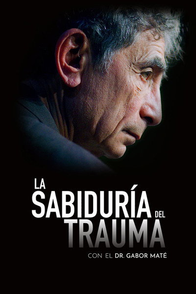 Póster de The Wisdom of Trauma