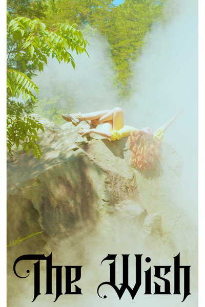 Póster de The Wish