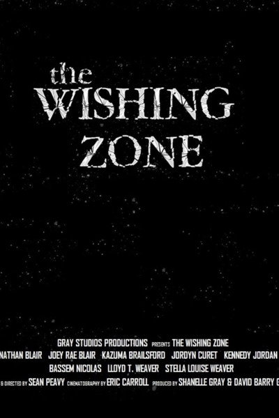 Póster de The Wishing Zone