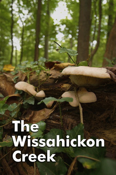 Póster de The Wissahickon Creek