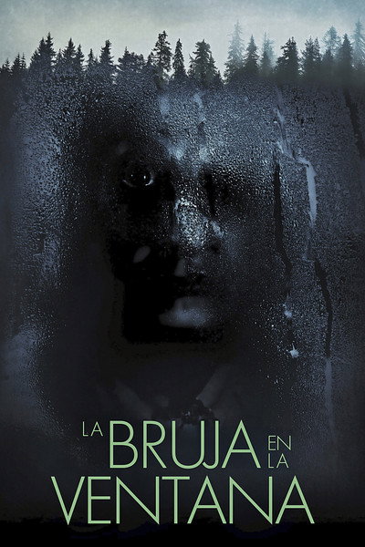Póster de The Witch in the Window