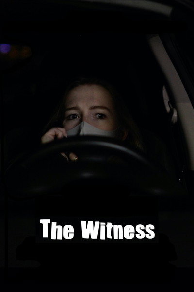 Póster de The Witness