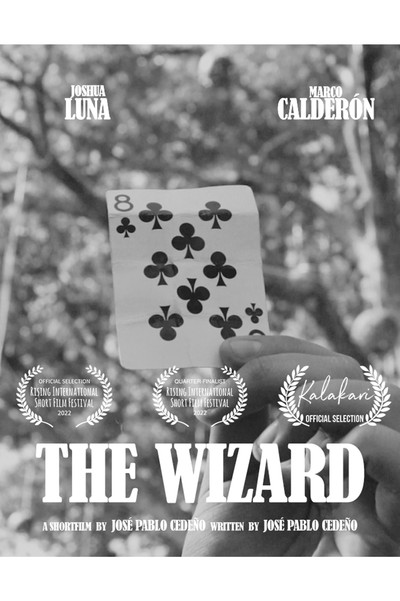 Póster de The Wizard