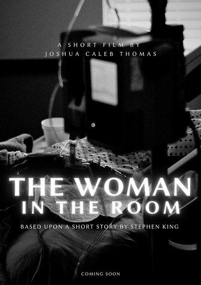 Póster de The Woman in the Room