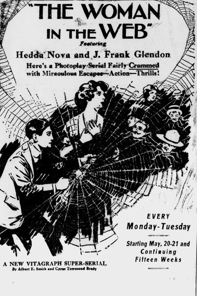 Póster de The Woman in the Web