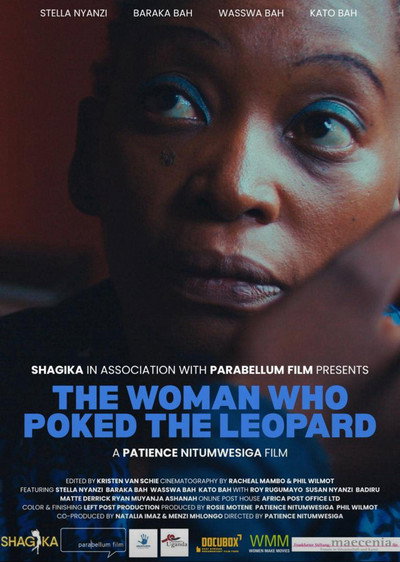 Póster de The Woman Who Poked the Leopard