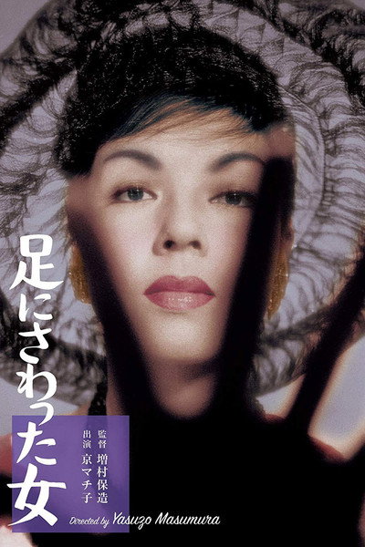 Póster de The Woman Who Touched the Legs