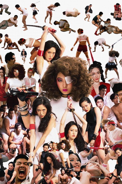 Póster de The Women's Revenge