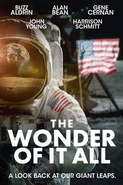 Póster de The Wonder of it All