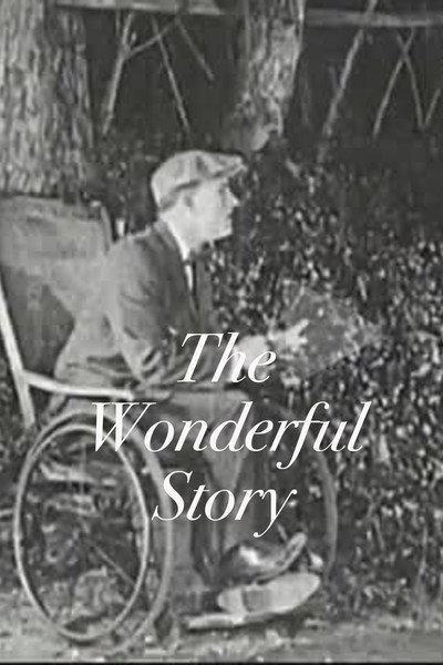 Póster de The Wonderful Story