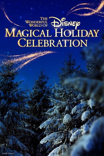 Póster de The Wonderful World of Disney: Magical Holiday Celebration