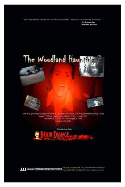 Póster de The Woodland Haunting 2