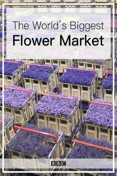 Póster de The World's Biggest Flower Market