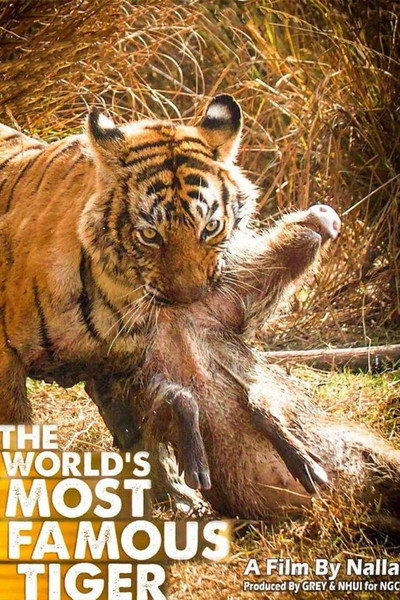 Póster de The World's Most Famous Tiger