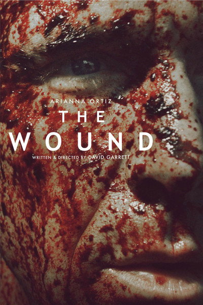 Póster de The Wound