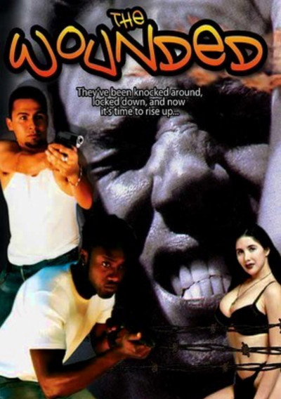 Póster de The Wounded