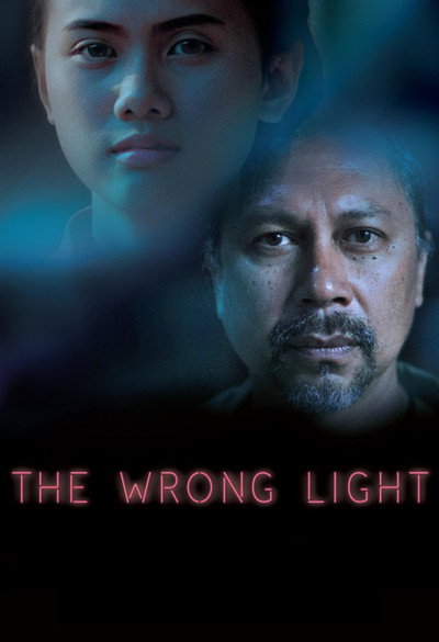 Póster de The Wrong Light