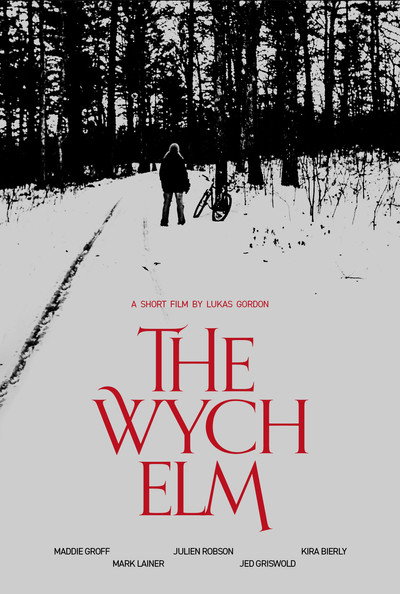 Póster de The Wych Elm