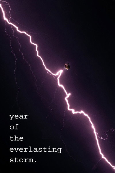 Póster de The Year of the Everlasting Storm