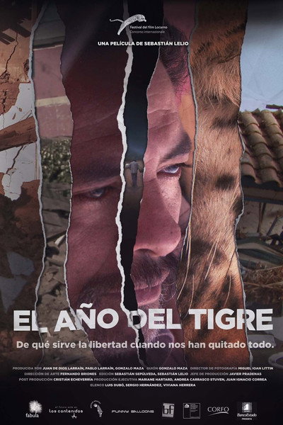 Póster de The Year of the Tiger