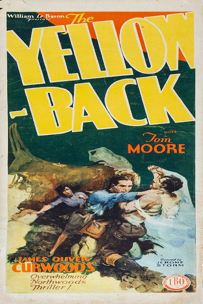 Póster de The Yellow-Back