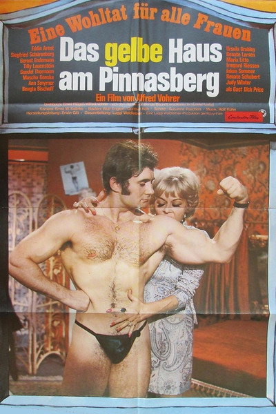 Póster de The Yellow House on Pinnasberg