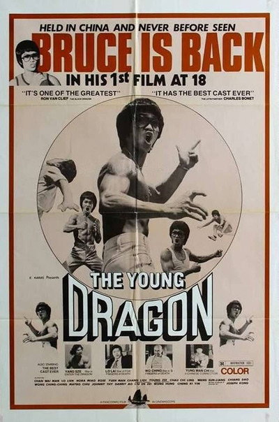 Póster de The Young Dragon