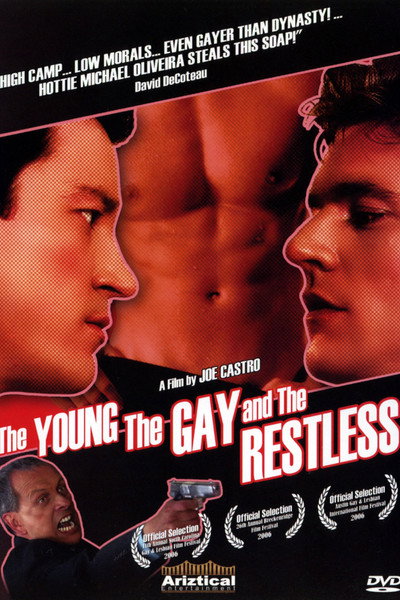Póster de The Young, the Gay and the Restless