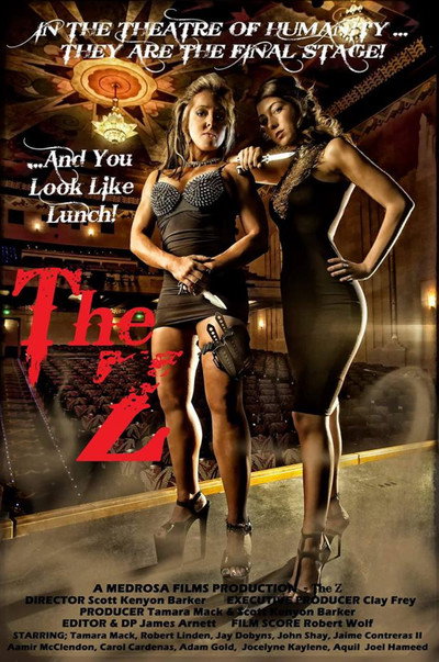 Póster de The Z