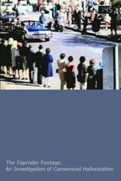 Póster de The Zapruder Footage: An Investigation of Consensual Hallucination